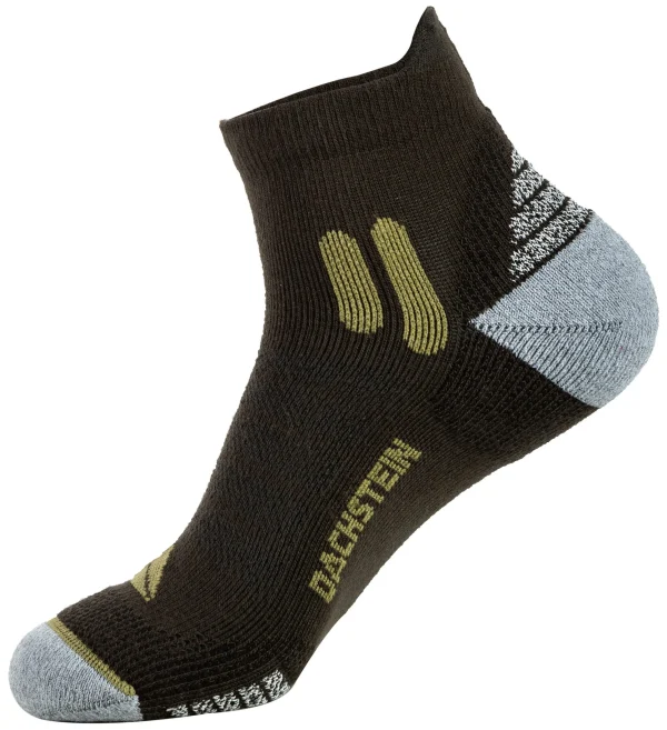 Ischua>DACHSTEIN Hot