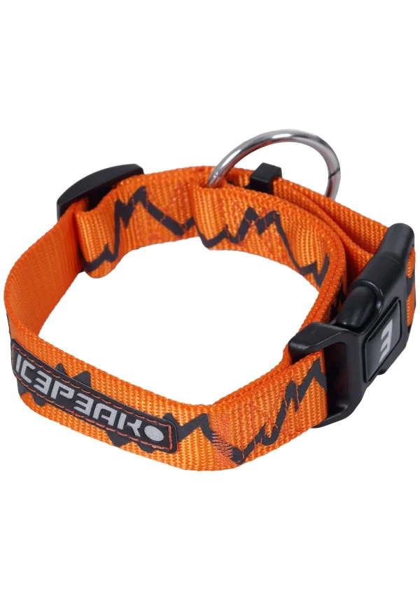 Glows Collar>ICEPEAK PET Best Sale