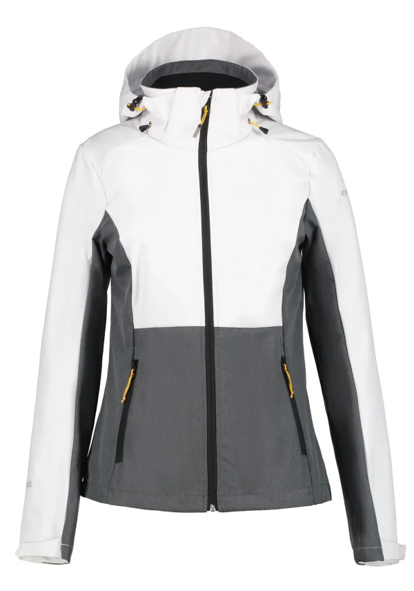 Burnet>ICEPEAK Online