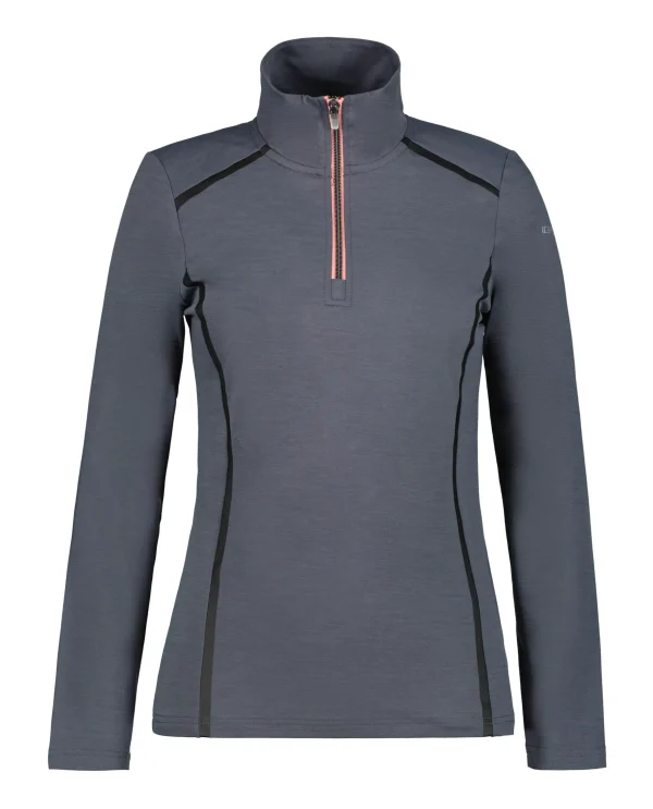 Ellingen>ICEPEAK Online