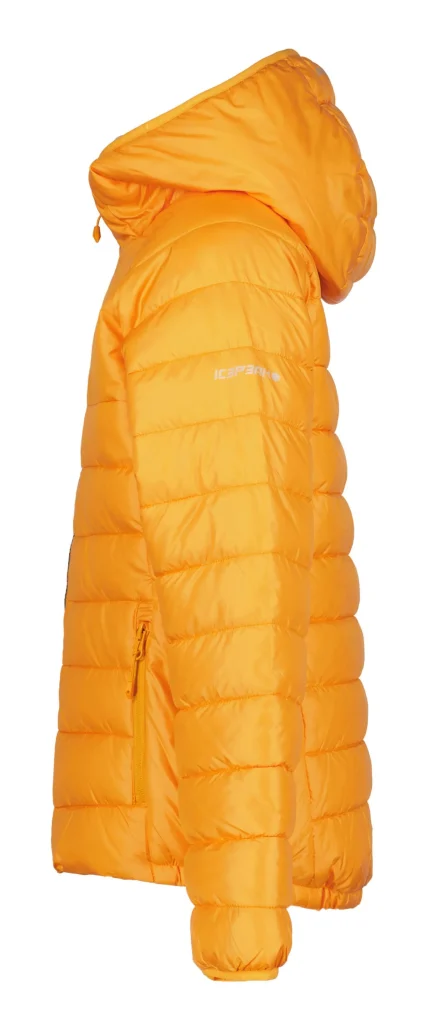 Kenyon Jr>ICEPEAK Store