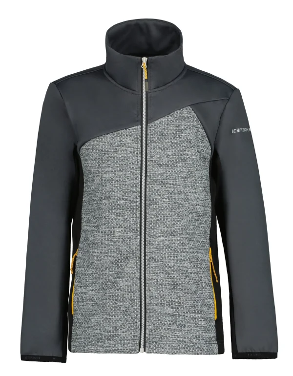 Krumbach Jr>ICEPEAK New