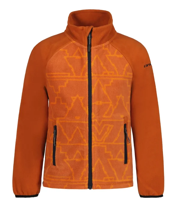 Leisnig Jr>ICEPEAK Online