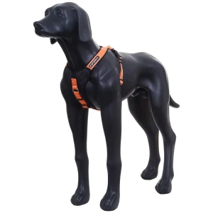 Prozone Harne>ICEPEAK PET Discount