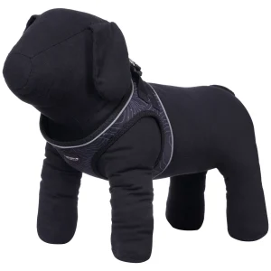 Prozone Mini>ICEPEAK PET Hot