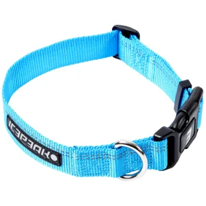 Winner Classi>ICEPEAK PET Best