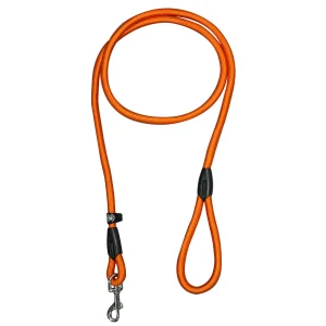 Winner Color>ICEPEAK PET Shop