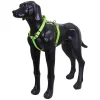 Neon Light Harness>RUKKA PETS Shop
