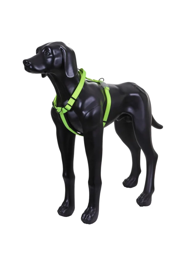 Neon Light Harness>RUKKA PETS Shop