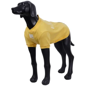 X Billebeino Buddy Sweater>RUKKA PETS Fashion